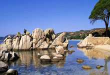 电话办理异地就医备案需要多久解除，电话办理异地就医备案需要多久解除合同