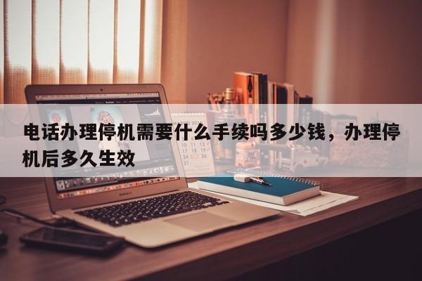 电话办理停机需要什么手续吗多少钱,办理停机后多久生效